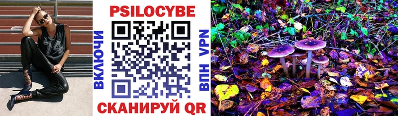 дарнет шоп  Кадников  omg ССЫЛКА  Псилоцибиновые грибы Magic Shrooms 